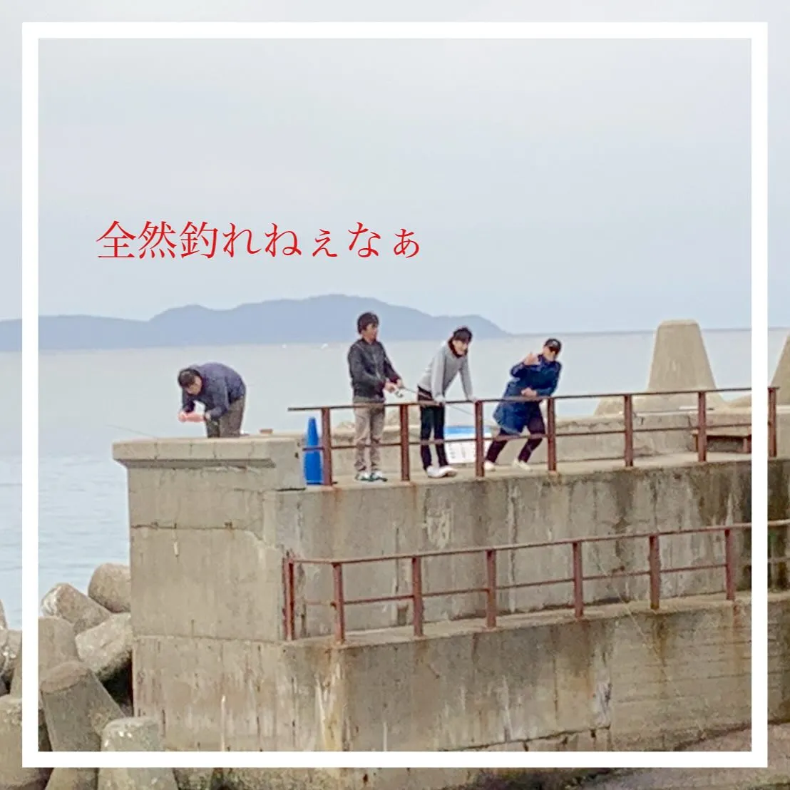 RGardenのInstagramへお越し頂き有難う御座いま...